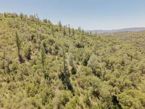 View/Area - 5912 Old Gulch Rd, San Andreas, CA 95249 photo 15 of 15