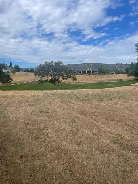 2196 Oak Creek Dr, Copperopolis, CA 95228 photo 5