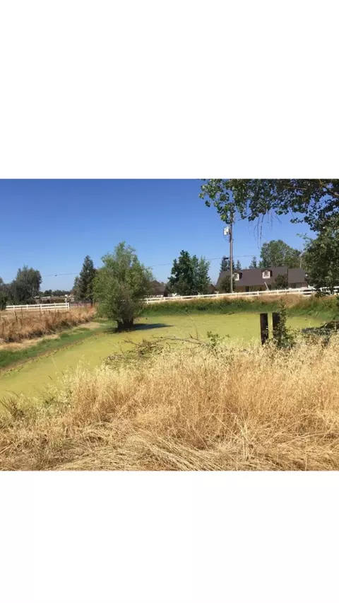 10125 La Clair Rd, Wilton, CA 95693 photo 18