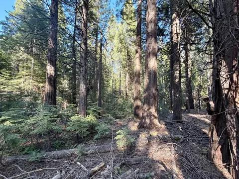 184 Creekside Dr, Camp Connell, CA 95223 photo 3