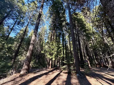 184 Creekside Dr, Camp Connell, CA 95223 photo 4