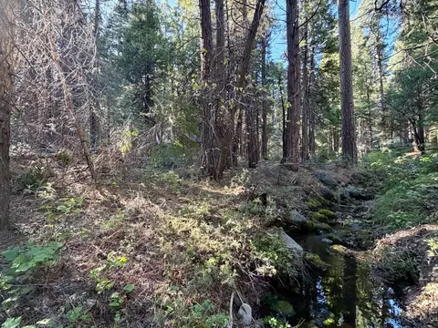 184 Creekside Dr, Camp Connell, CA 95223 photo 2