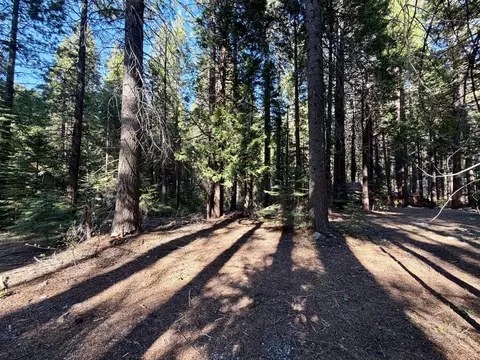 184 Creekside Dr, Camp Connell, CA 95223