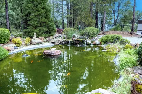 Other - 4800 Abbey Rd, Placerville, CA 95667 photo 20 of 20