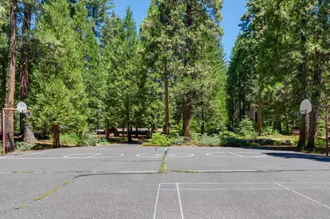 Exterior - 4522 Jibway Dr, Camp Connell, CA 95223 photo 13 of 14