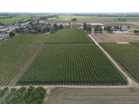 17490 N Bruella Rd, Victor, CA 95253