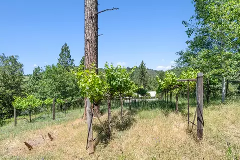 Exterior - 5732 Mizpah, Murphys, CA 95247 photo 10 of 16