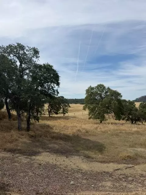 5134 Little John, Copperopolis, CA 95228 photo 6
