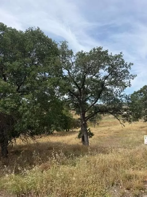 5134 Little John, Copperopolis, CA 95228 photo 9