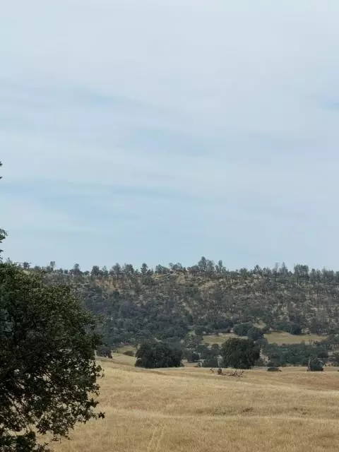 5134 Little John, Copperopolis, CA 95228 photo 7