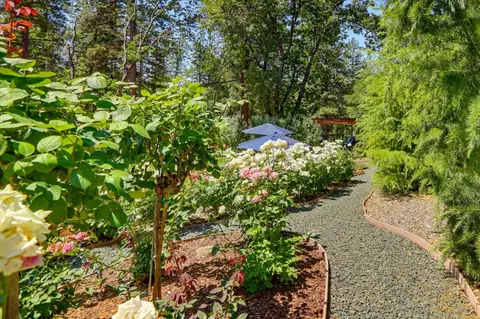 Exterior - 10213 Evergreen Ranch Ct, Grass Valley, CA 95949 photo 3 of 31