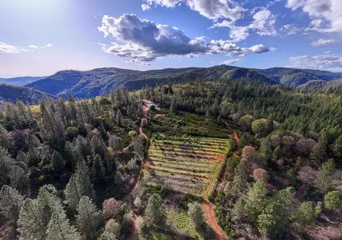 10571 Sebastopol Rd, North San Juan, CA 95960