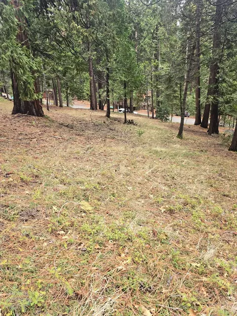 594 Dean Way, Arnold, CA 95223