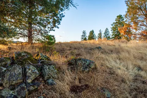 19635 Peyton Pl, Grass Valley, CA 95949 photo 88
