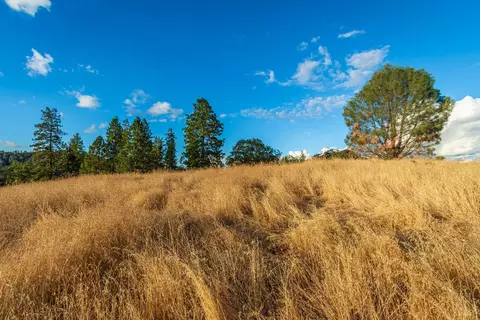 19635 Peyton Pl, Grass Valley, CA 95949 photo 73