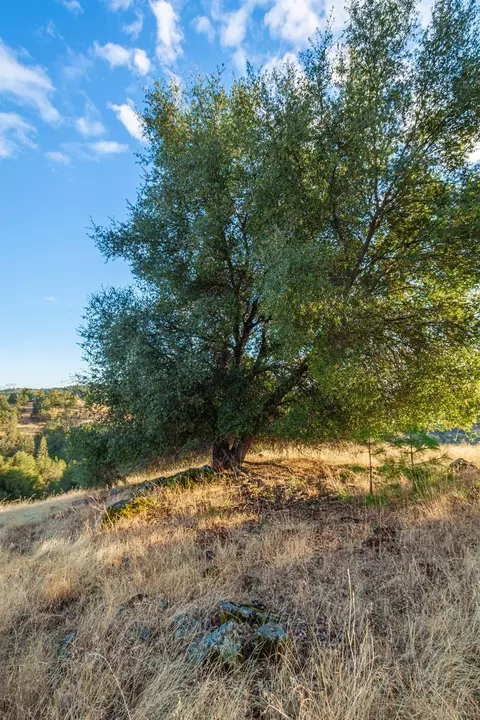 19635 Peyton Pl, Grass Valley, CA 95949 photo 64
