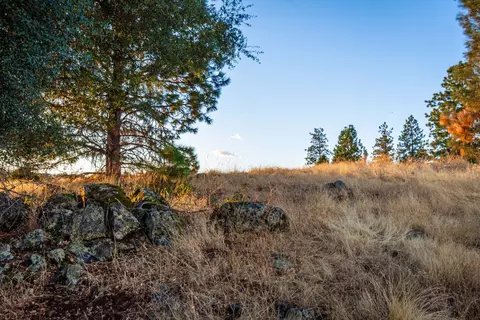 19635 Peyton Pl, Grass Valley, CA 95949 photo 87