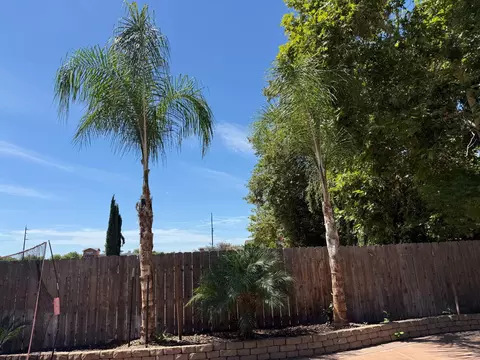 Exterior - 322 Culbertson Dr, Lodi, CA 95240 photo 4 of 7