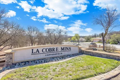 View/Area - 133 Palisades Pl, Copperopolis, CA 95228 photo 9 of 15