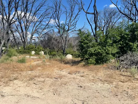 55 Cedar Tree Ln, Oroville, CA 95966