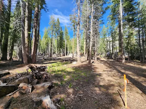 0 Ca State Highway 4, Tamarack, CA 95223