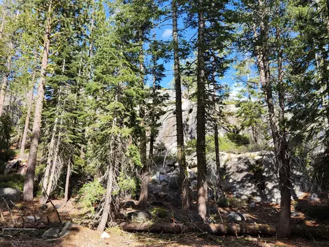 0 State Highway 4, Tamarack, CA 95223