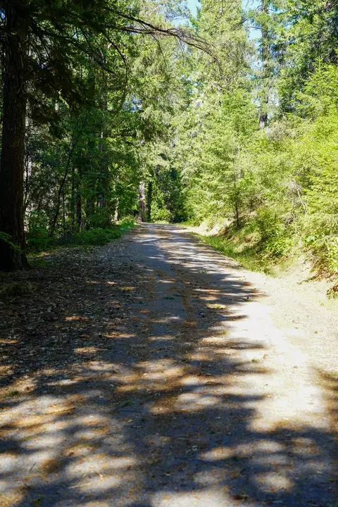 30220 Magra Rd, Gold Run, CA 95717 photo 37