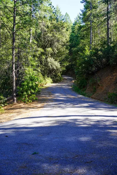 30220 Magra Rd, Gold Run, CA 95717 photo 41