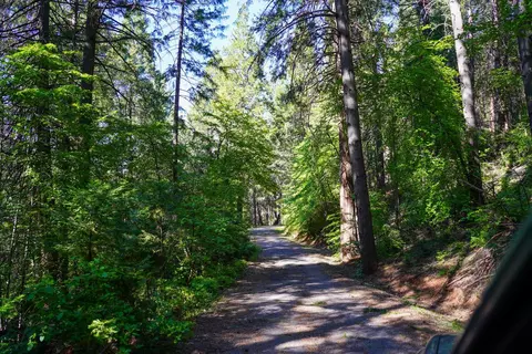 30220 Magra Rd, Gold Run, CA 95717 photo 39