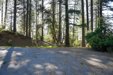 30220 Magra Rd, Gold Run, CA 95717 photo 40
