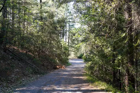 30220 Magra Rd, Gold Run, CA 95717 photo 6