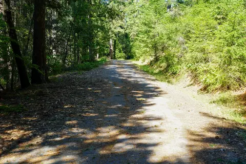 30220 Magra Rd, Gold Run, CA 95717 photo 38