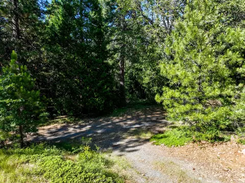30220 Magra Rd, Gold Run, CA 95717 photo 17
