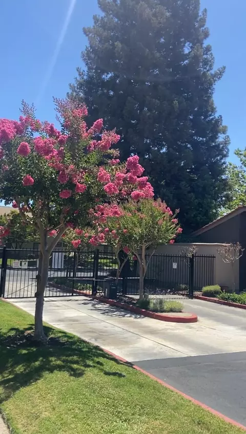 Other - 4045 Dale Rd #C, Modesto, CA 95356 photo 4 of 5