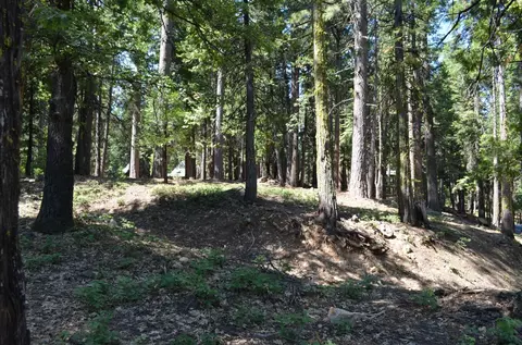 3112 Apache Rd, Arnold, CA 95223 photo 2