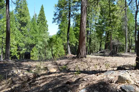 3112 Apache Rd, Arnold, CA 95223 photo 14