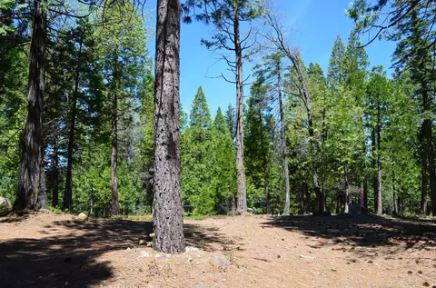 3112 Apache Rd, Arnold, CA 95223 photo 20