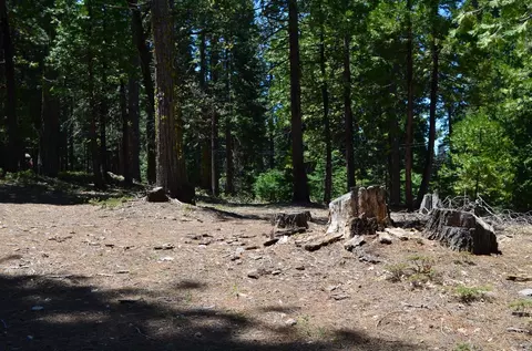 3112 Apache Rd, Arnold, CA 95223 photo 5