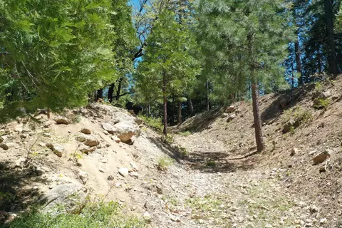 3112 Apache Rd, Arnold, CA 95223 photo 8
