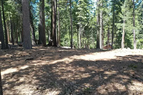 3112 Apache Rd, Arnold, CA 95223 photo 24