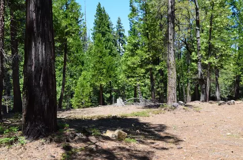 3112 Apache Rd, Arnold, CA 95223 photo 3
