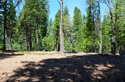3112 Apache Rd, Arnold, CA 95223 photo 21