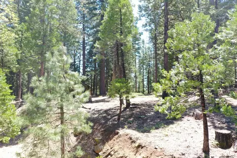 3112 Apache Rd, Arnold, CA 95223 photo 22