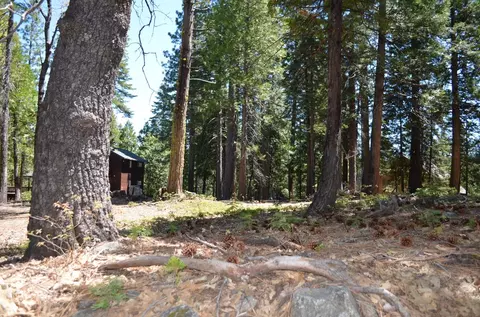 3112 Apache Rd, Arnold, CA 95223 photo 15