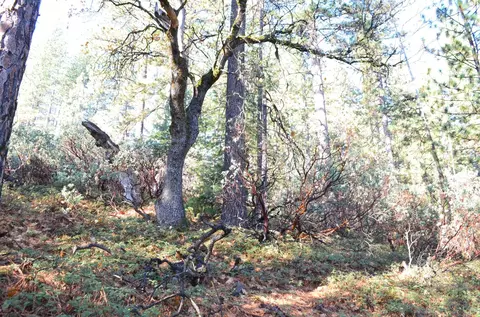 1703 War Hawk, Arnold, CA 95223 photo 9