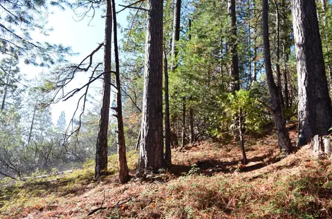 1703 War Hawk, Arnold, CA 95223 photo 7