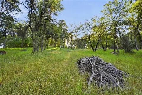 16095 Auburn Rd, Grass Valley, CA 95949 photo 17