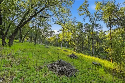 16095 Auburn Rd, Grass Valley, CA 95949 photo 18