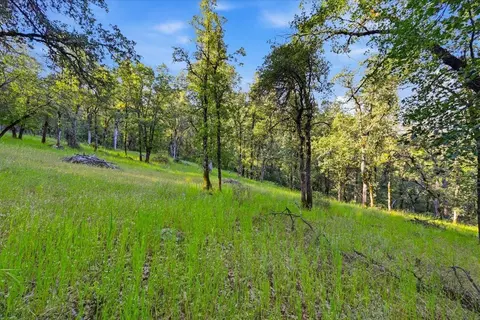16095 Auburn Rd, Grass Valley, CA 95949 photo 19