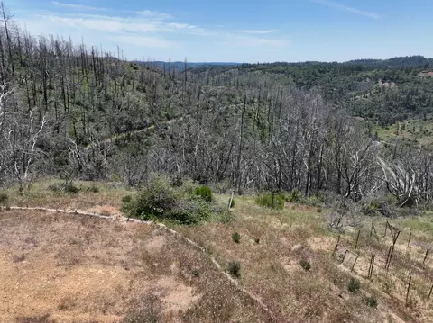 24920 Saddleback Ln, Colfax, CA 95713 photo 8